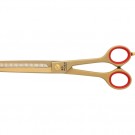 Posh Gold - 6,5